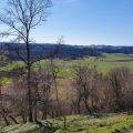 s100.jpg