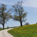 s1410.jpg
