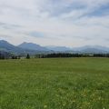s1520.jpg