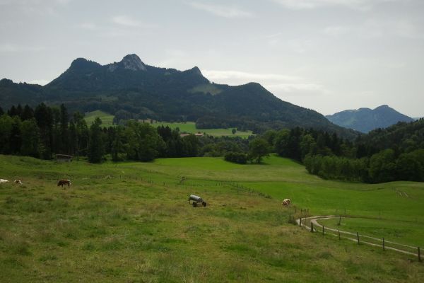 Samerberg - Blick auf den Heuberg - © RoRadln - Kurt Schmidt