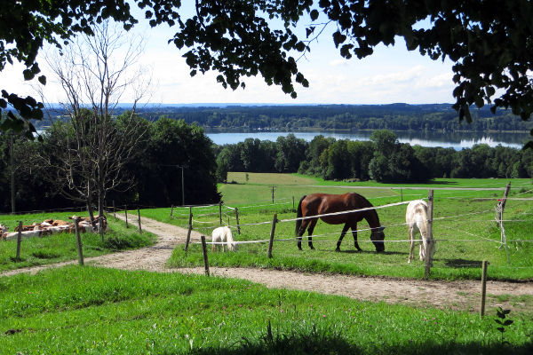 Simsseeblick bei Pietzenkirchen - © RoRadln - Kurt Schmidt