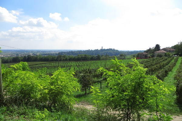 Susegana - Castello San Salvatore - © RoRadln - Kurt Schmidt
