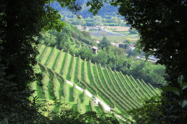 Auf dem Weg nach Al Col - Talblick - © RoRadln - Kurt Schmidt