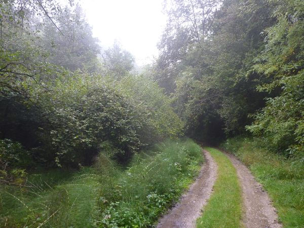 nahe Al Col - © RoRadln - Franz Lohmair