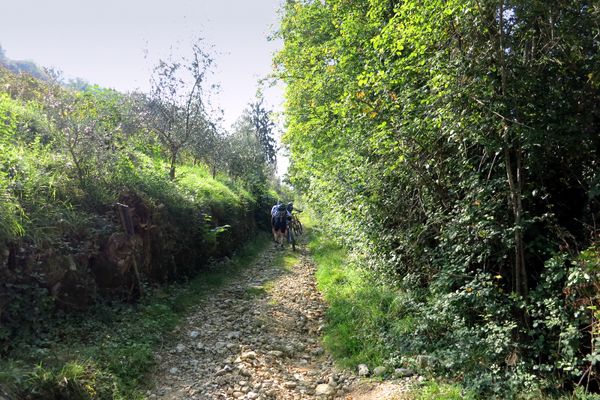 In den Weinbergen - © RoRadln - Monika Fehr