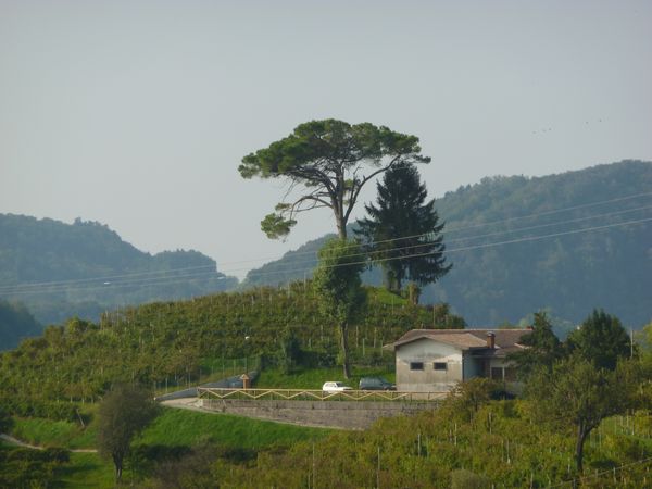 Landschaft bei Rolle - © RoRadln - Franz Lohmair