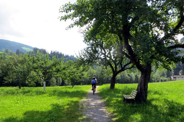 Radweg bei Hopfgarten - © RoRadln - Kurt Schmidt