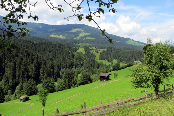 Oberhalb der Windauer Ache - © RoRadln - Kurt Schmidt