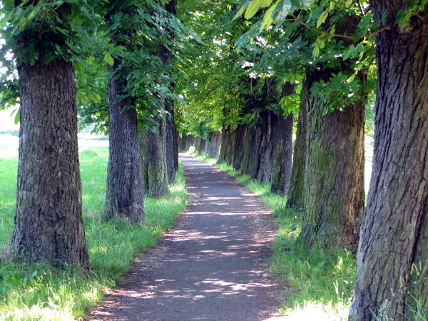 Eger-Radweg kurz hinter Karlsbad - © RoRadln - Kurt Schmidt