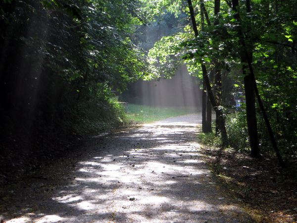 Sch&ouml;ner Radweg entlang der Radbuza in Plzen - © RoRadln - Kurt Schmidt
