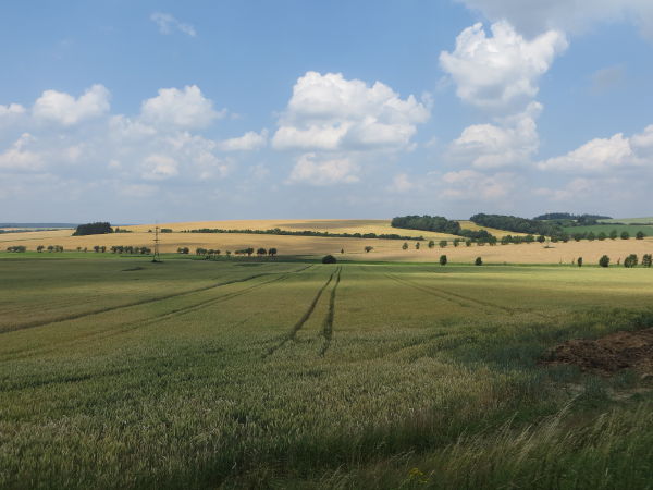 Weites Land bei Kanice - © RoRadln - Kurt Schmidt