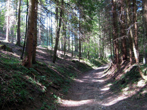 Sch&ouml;ner Wanderweg - © RoRadln - Franz Lohmair