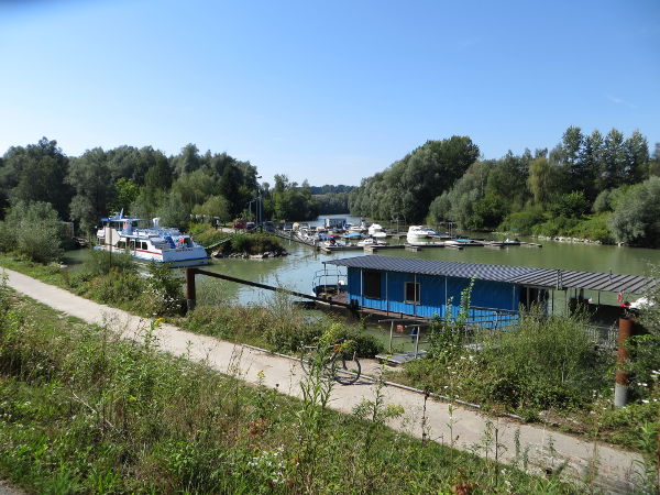 Donau-Altarm bei Ardagger Markt - © RoRadln - Kurt Schmidt