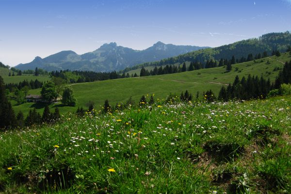 Von der Winterstube kommend - Blick auf die Kampenwand - © RoRadln - Kurt Schmidt