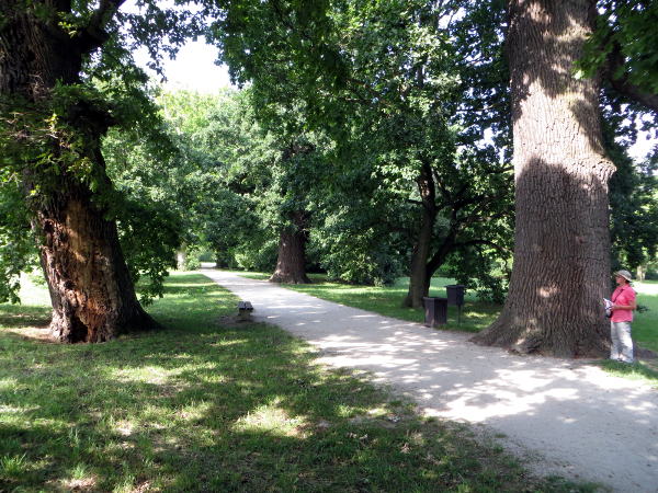 Alter Baumbestand im Schlosspark Lednice - © RoRadln - Kurt Schmidt
