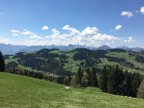 Blick von der Wildbichlalm Richtung S&uuml;den - © RoRadln - Michael Feldhaus