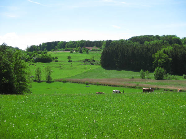 Landschaft zwischen Langkofen undThal - © RoRadln - Kurt Schmidt