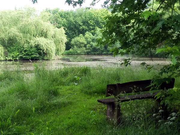 Teich bei Z&uuml;schen - © RoRadln - Kurt Schmidt