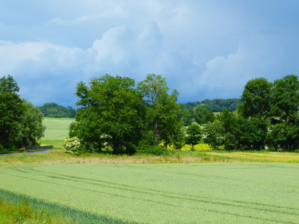Dunkle Wolken &uuml;ber Niedervorsch&uuml;tz - © RoRadln - Kurt Schmidt