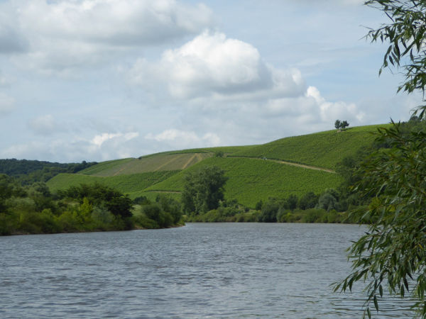 Main zwischen Mainstockheim und Dettelbach - © RoRadln - Kurt Schmidt