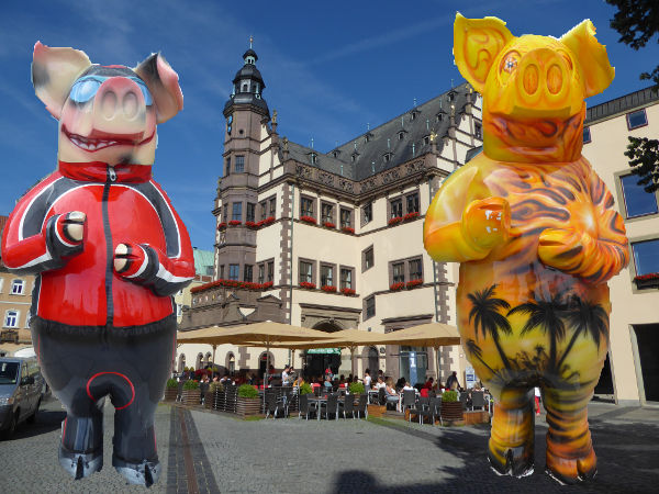 Schweinfurt mit &uuml;berall pr&auml;senten Schweinen - © RoRadln - Kurt Schmidt