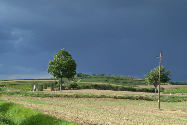 Gewitterwolken &uuml;ber Herrnbaumgarten - © RoRadln - Kurt Schmidt