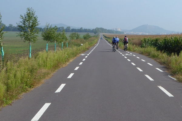 Radweg mit Pannenbucht Richtung Mikulov - © RoRadln - Kurt Schmidt