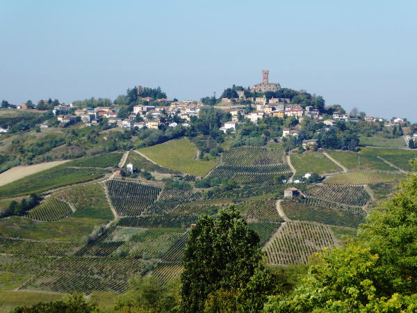 Blick auf Castello di Cigognola - © RoRadln - Kurt Schmidt