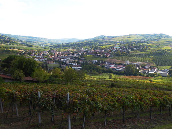 Blick von Donelasco auf Santa Maria della Versa - © RoRadln - Kurt Schmidt