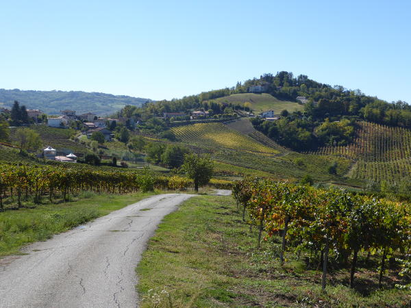 Castello di Montecalvo - © RoRadln - Kurt Schmidt
