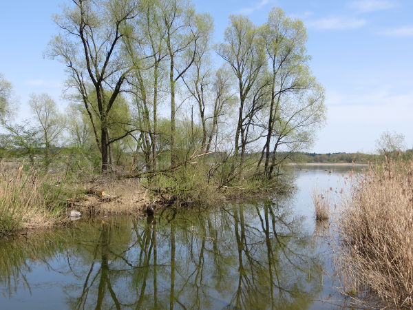 Prienm&uuml;ndung in den Chiemsee - © RoRadln - Kurt Schmidt