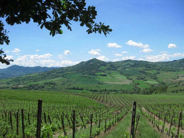 Oltrepo Pavese - Monte Santa Maria - © RoRadln - Kurt Schmidt