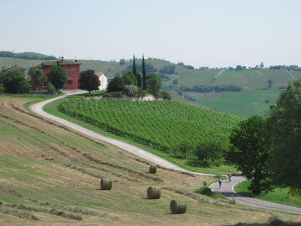 Oltrepo Pavese - Typische Landschaft - © RoRadln - Kurt Schmidt