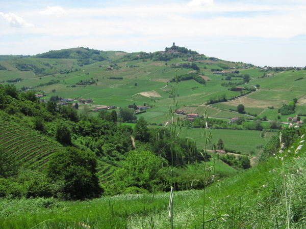Oltrepo Pavese - Typische Landschaft - © RoRadln - Kurt Schmidt