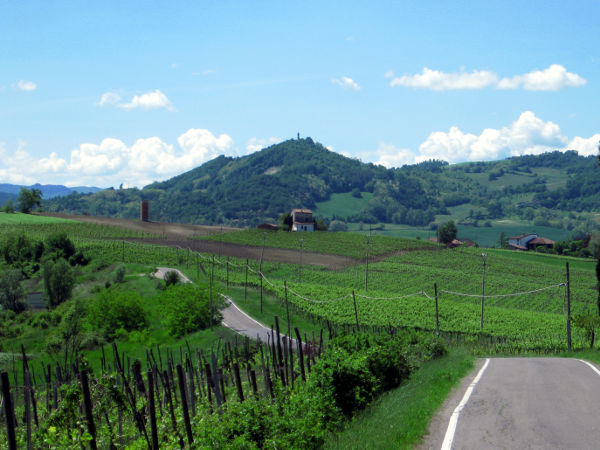 Oltrepo Pavese - Monte Santa Maria - © RoRadln - Kurt Schmidt