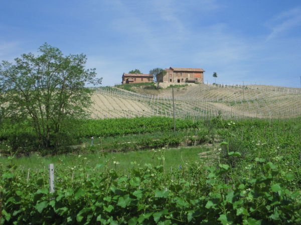 Oltrepo Pavese - Typische Landschaft - © RoRadln - Kurt Schmidt