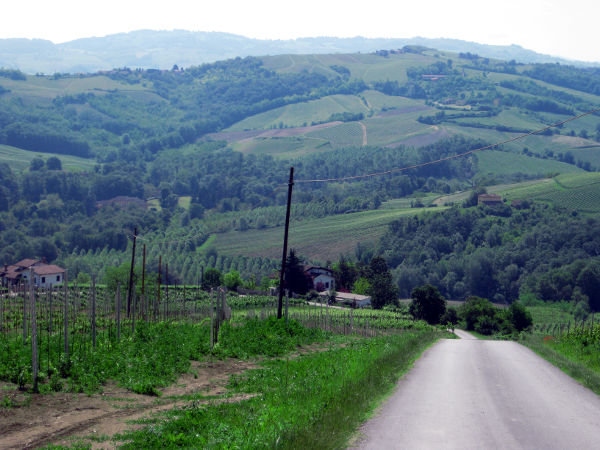 Oltrepo Pavese - steile Auffahrt - © RoRadln - Kurt Schmidt