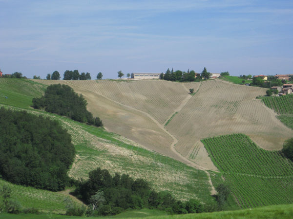 Oltrepo Pavese - Typische Landschaft - © RoRadln - Kurt Schmidt