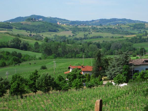 Oltrepo Pavese - Blick auf Montalbo - © RoRadln - Kurt Schmidt
