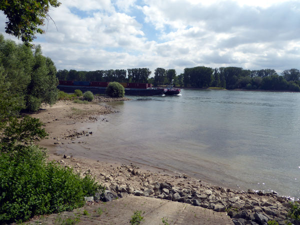 Am Rhein bei Gimbsheim - © RoRadln - Kurt Schmidt