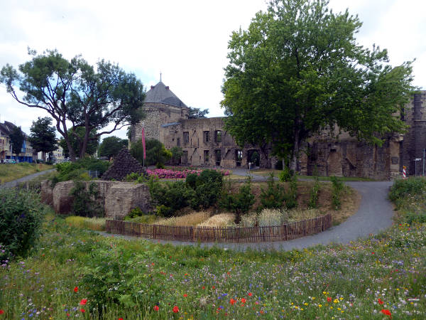 Andernach - Ruine der ehemaligen Stadtburg - © RoRadln - Kurt Schmidt