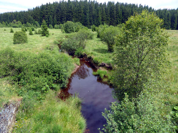 Die junge Rur am Vennbahn-Radweg - © RoRadln - Kurt Schmidt