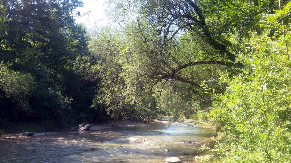 Leitzach kurz vor Mangfallmündung bei Westerham - © RoRadln - Kurt Schmidt