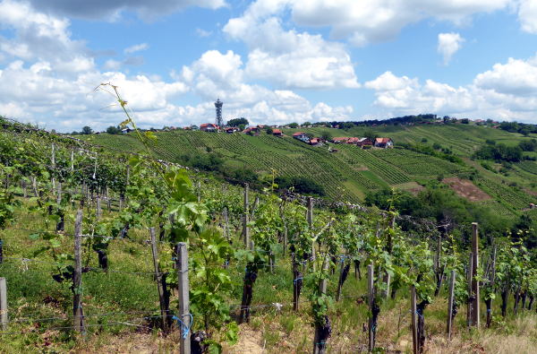 Lendava - © RoRadln - Kurt Schmidt