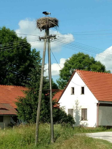 Storchennest in Pristava - © RoRadln - Rainer Miltenberger