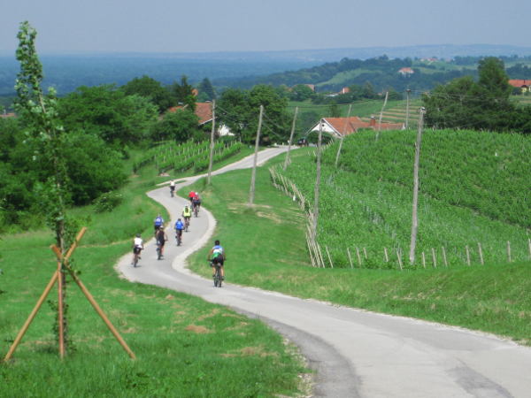 Weinberge bei Cuber - © RoRadln - Kurt Schmidt