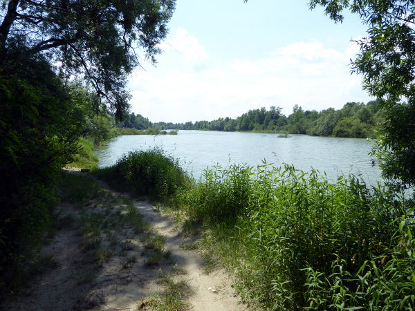 Drau-Radweg bei Varazdin - © RoRadln - Kurt Schmidt