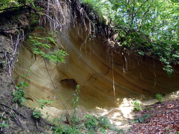 Interessante Bodenformation - © RoRadln - Kurt Schmidt