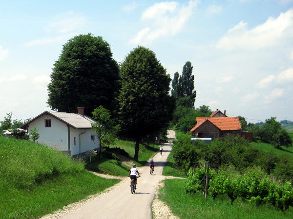 Weinberge bei Zvab - © RoRadln - Kurt Schmidt