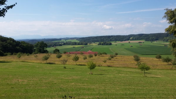 Brucker Moos - © RoRadln - Kurt Schmidt
